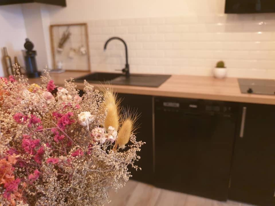 Le Citybreak - Studio Hypercentre Saint Denis מראה חיצוני תמונה